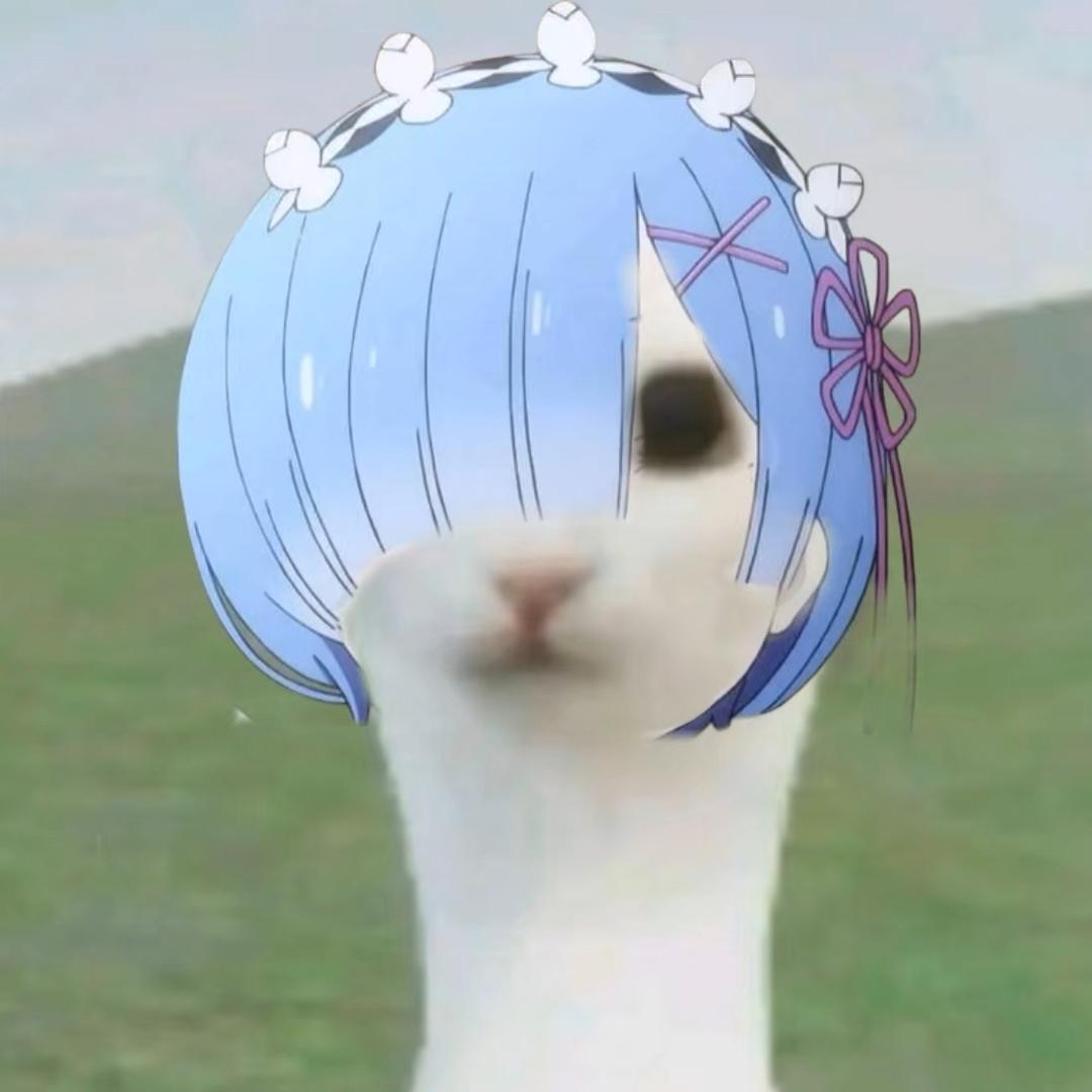 レム