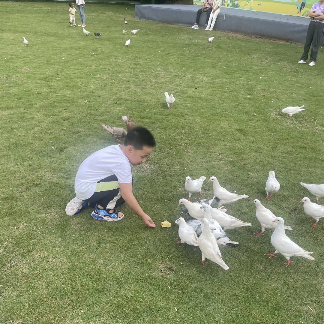 一品百货商行