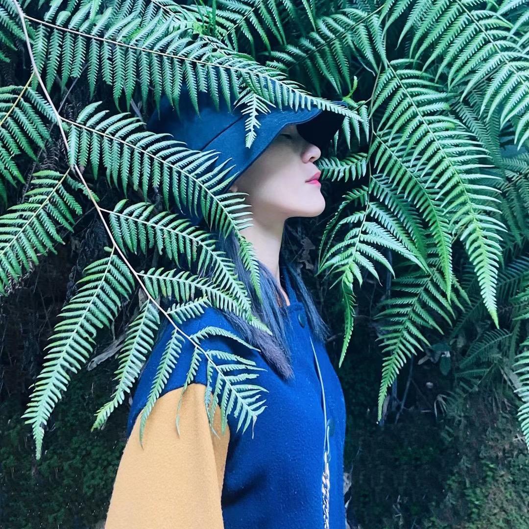 甘藤藤