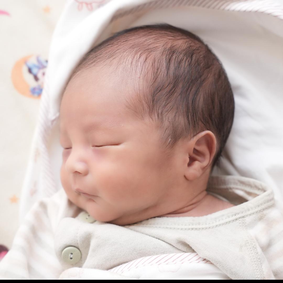 龙龙记录生活