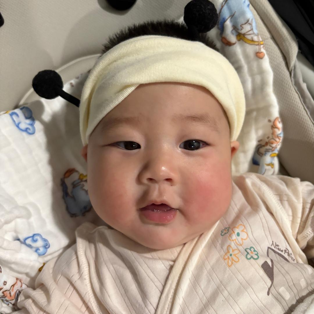 毛豆儿的豆包