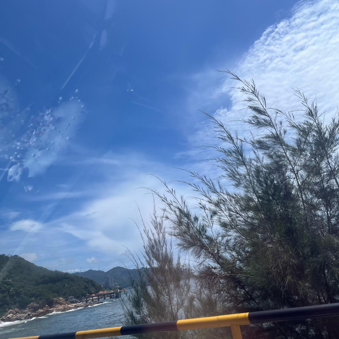 淡然