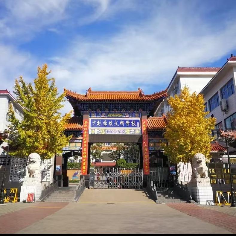 少林鹅坡武术新生咨询