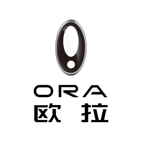 长城欧拉济宁都市猫店