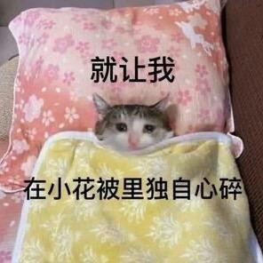 呆小鹅🐧