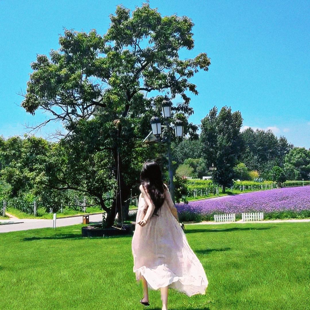 明之山🦋