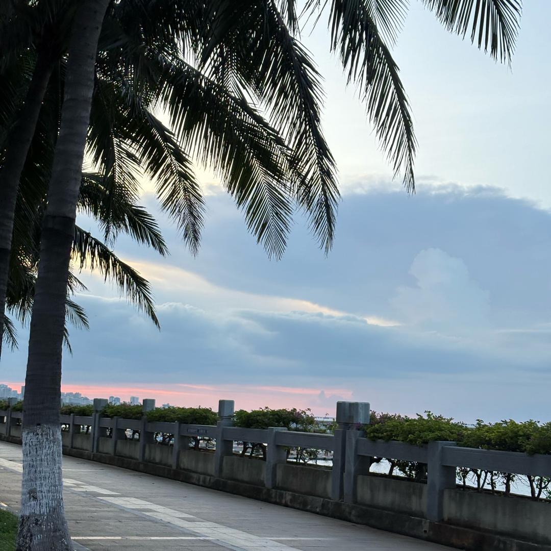 在海南苟延馋喘