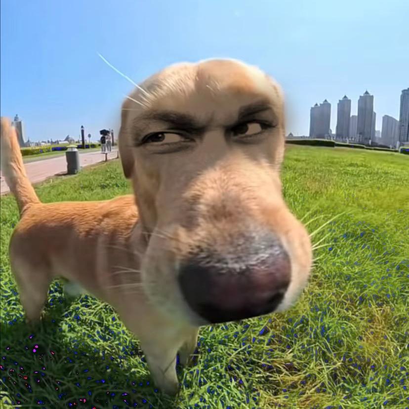 清晨