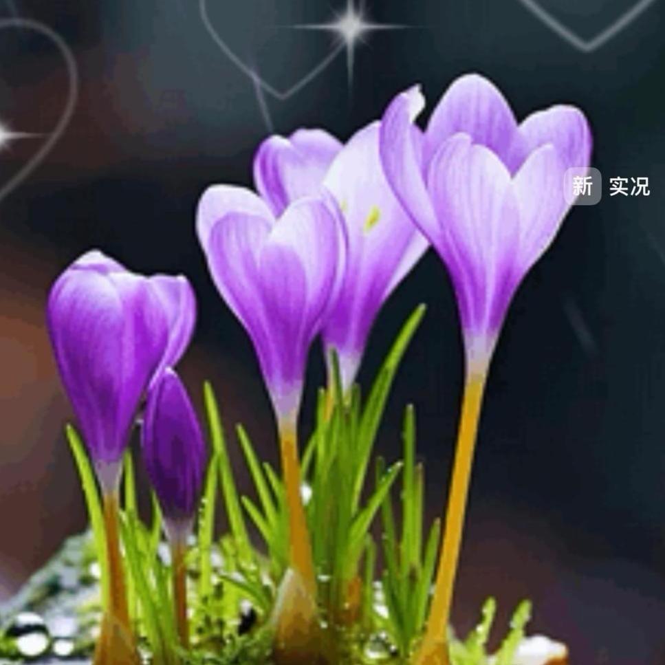 爱平