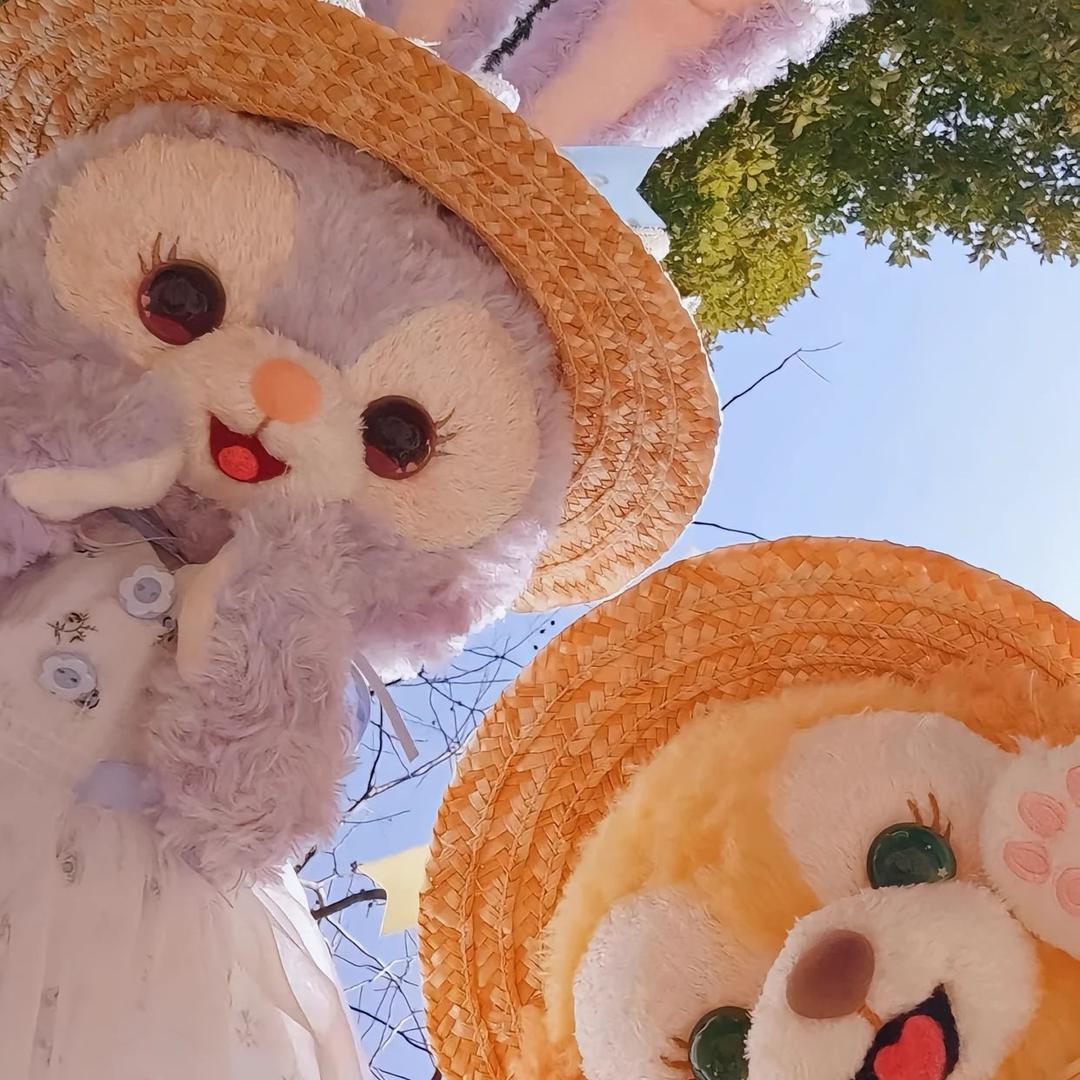 这是只小的猹🦔（已老实版）