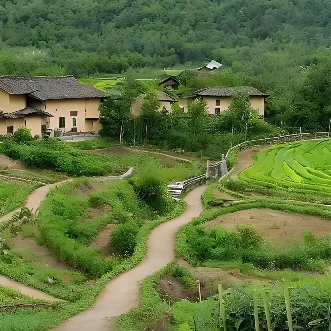 云南会泽高原洋芋鲜货铺