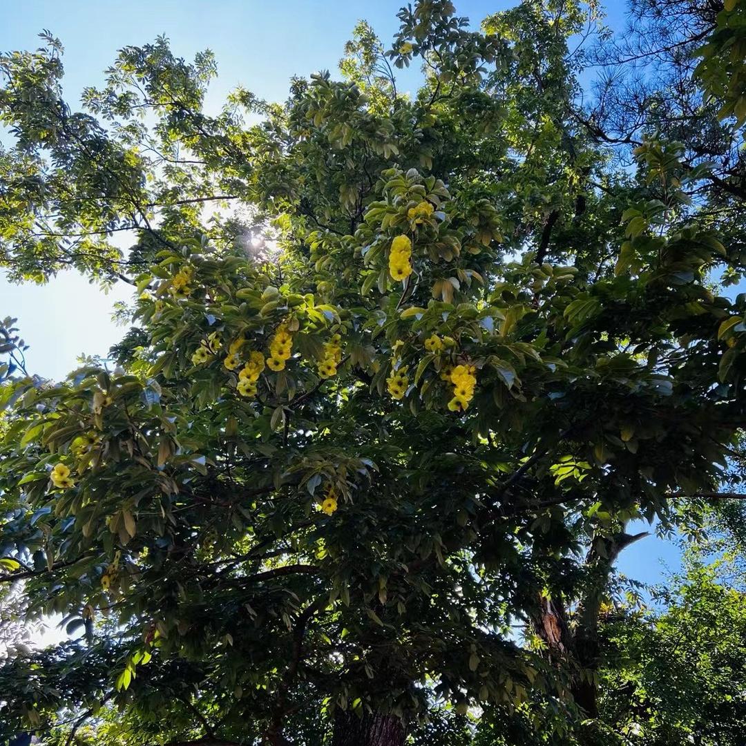 💞⃟好꒰ℯ⃝运 ℯ⃝自꧔ꦿ来᭄