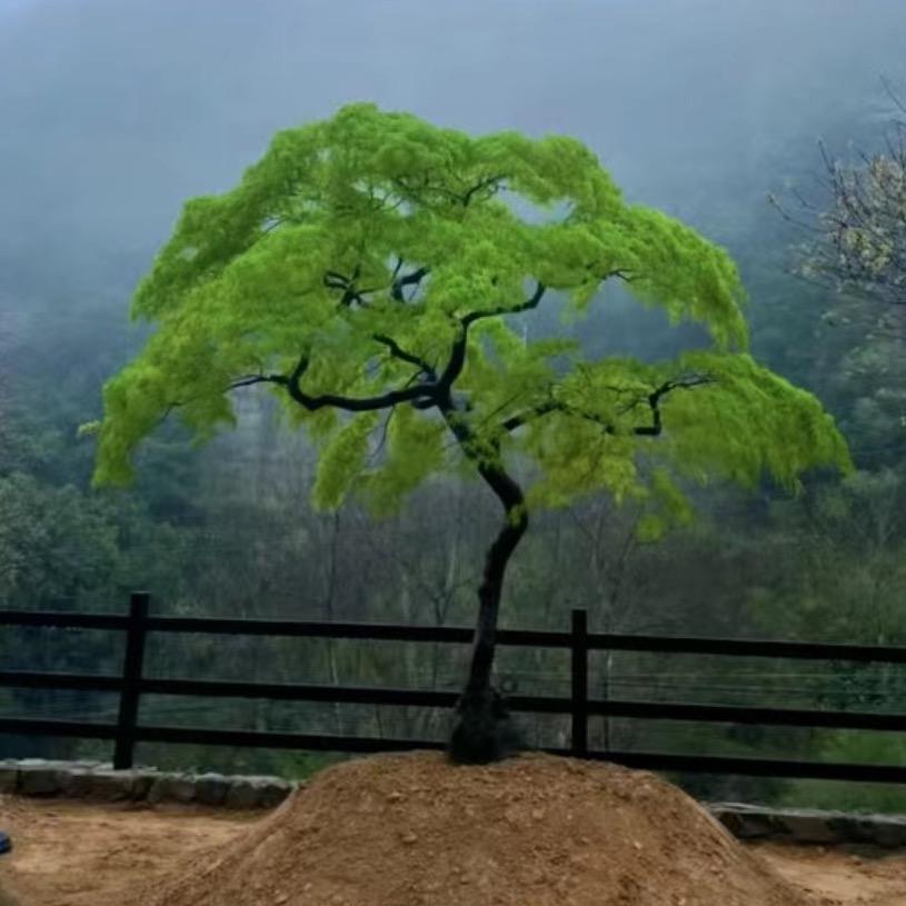 花景巷景观