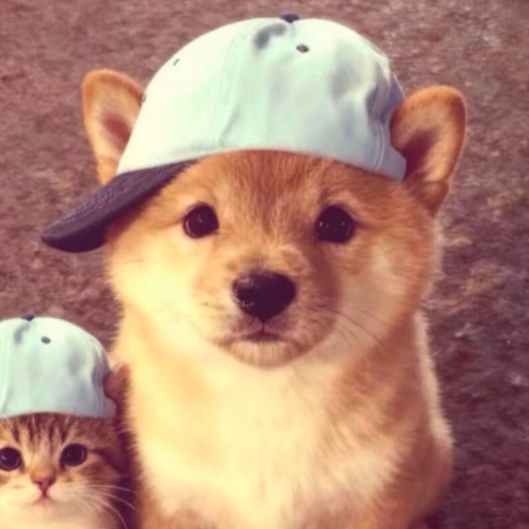 财神爷偏爱的大宝贝