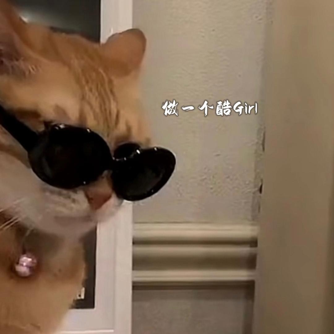 荷尔蒙一分钟的荡漾