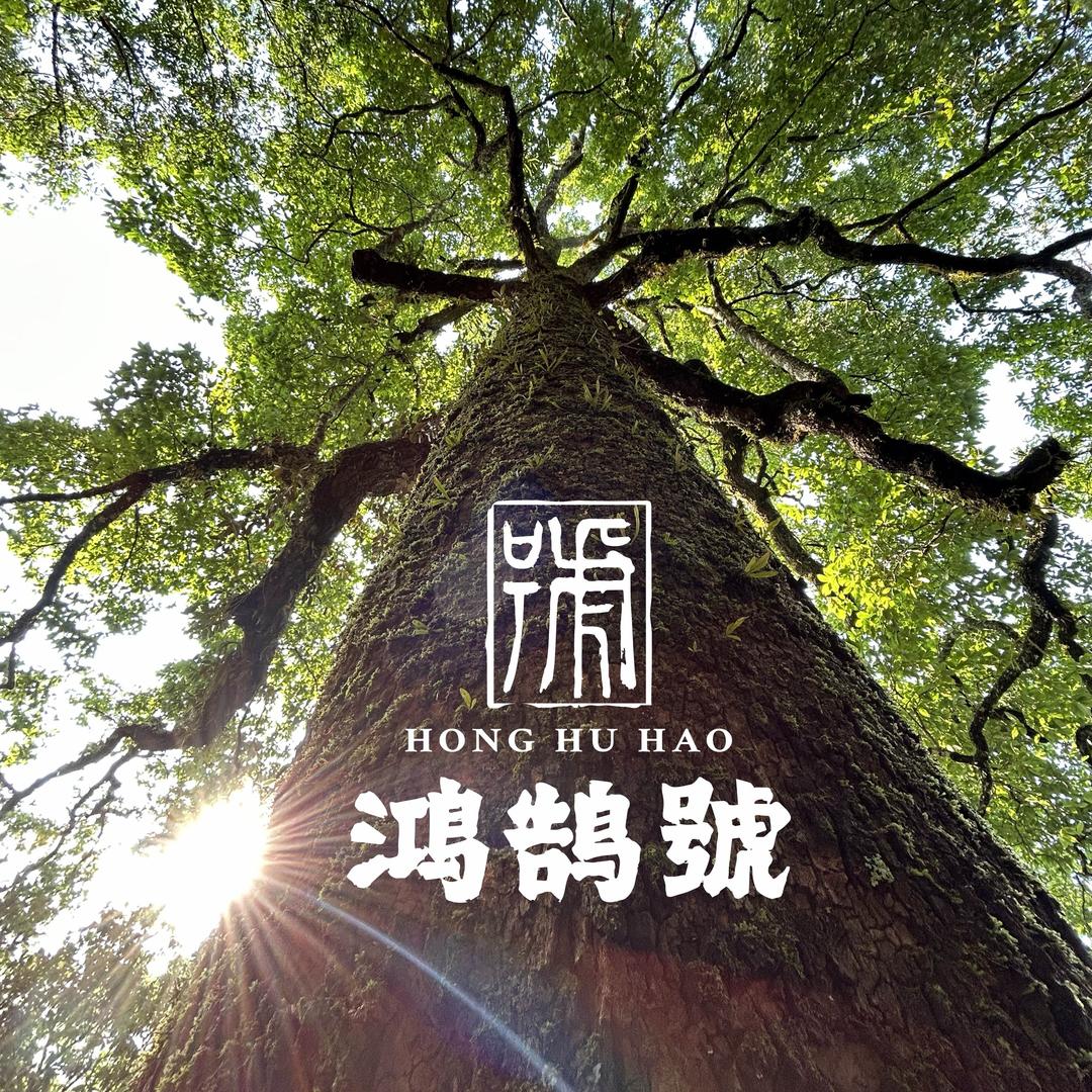 鸿鹄号·茶五代