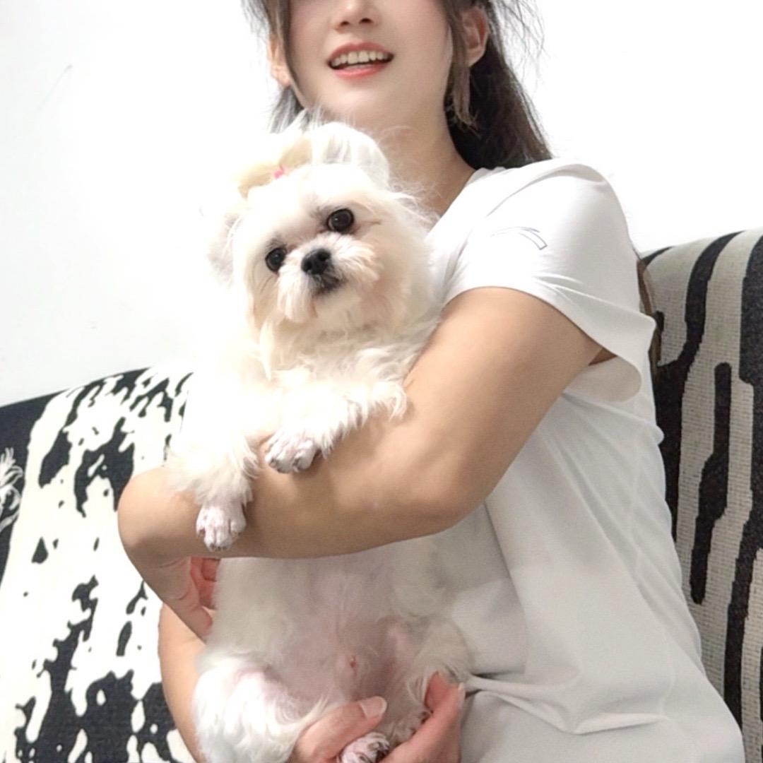 风儿