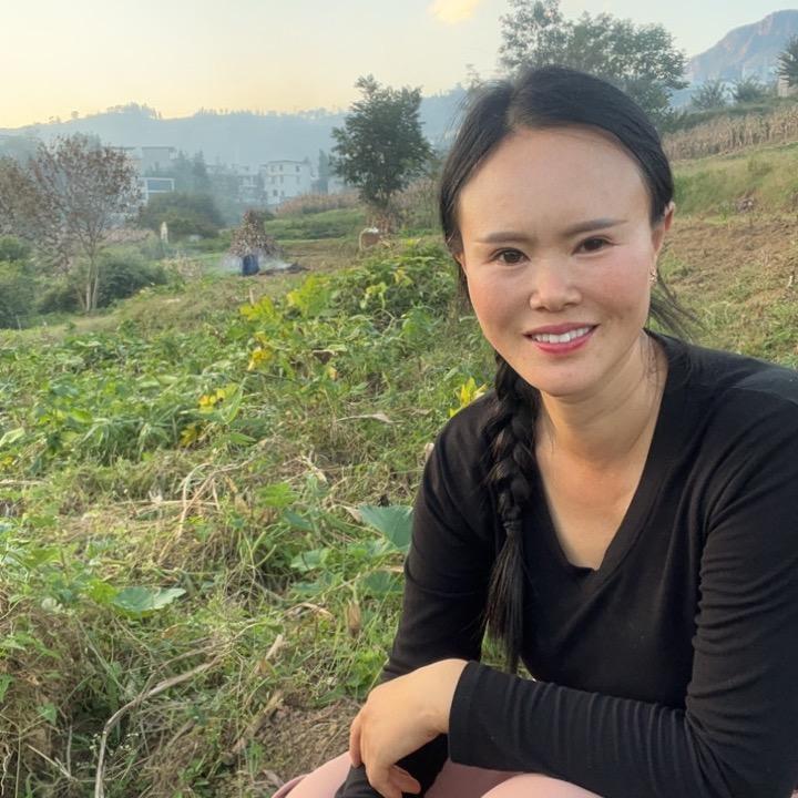 农村小蓝小号