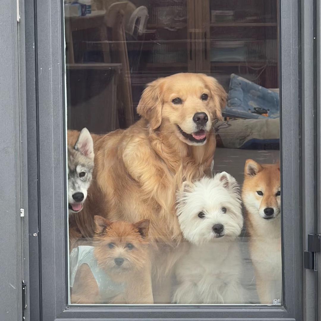 下辈子打炉石一定深思熟虑