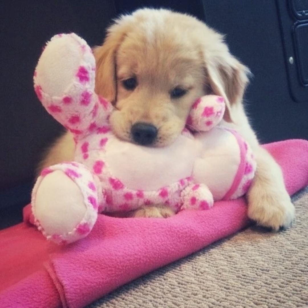 一碗看起来很好吃的面🍜