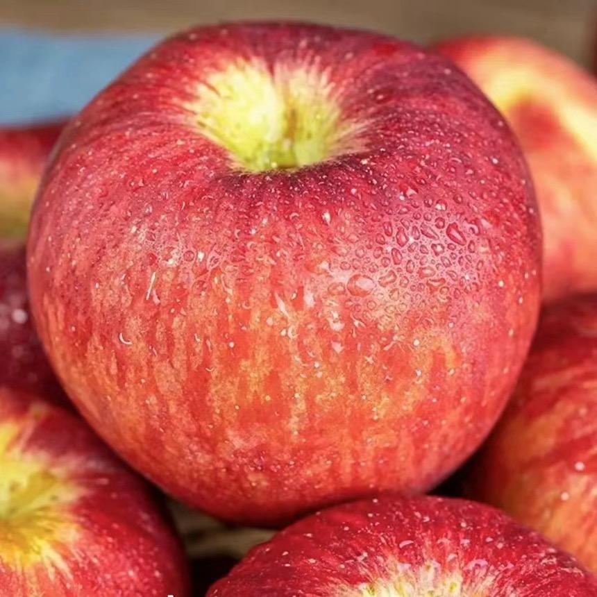 果然好生鲜果园