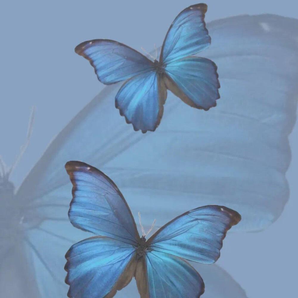 仙桃蝶园餐厅（德政园店）