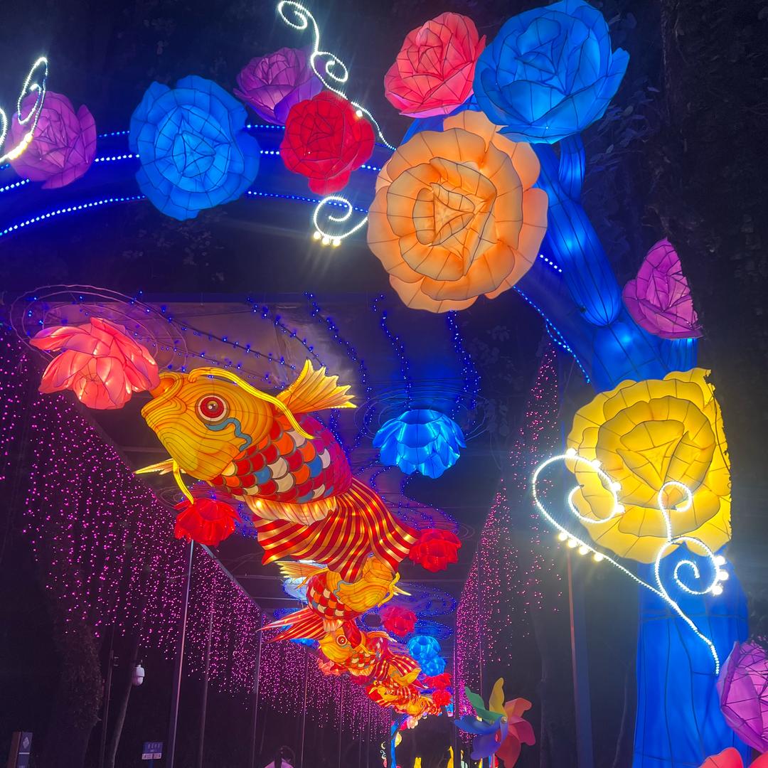 宝宝的高光时刻