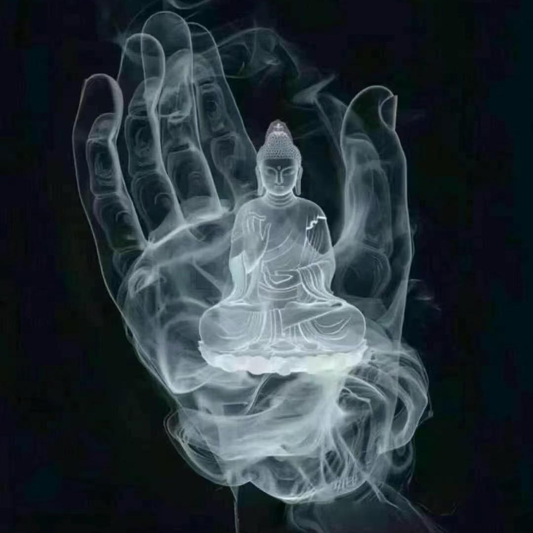 蓝码  长安老九