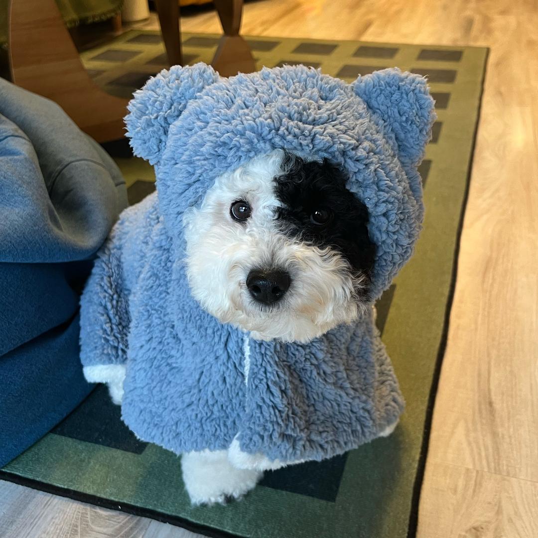 奥利奥🍪有点甜@抖音