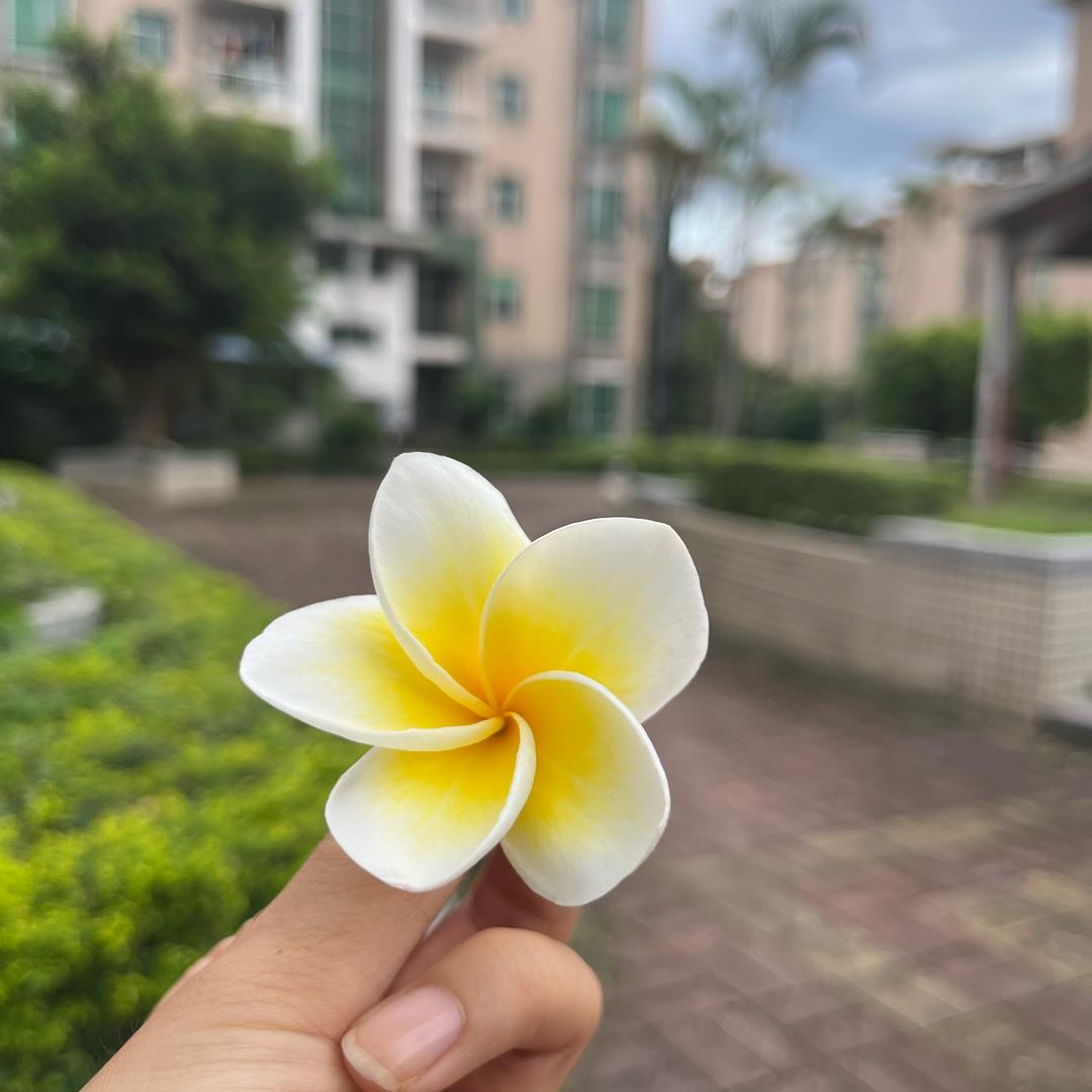 此号已废