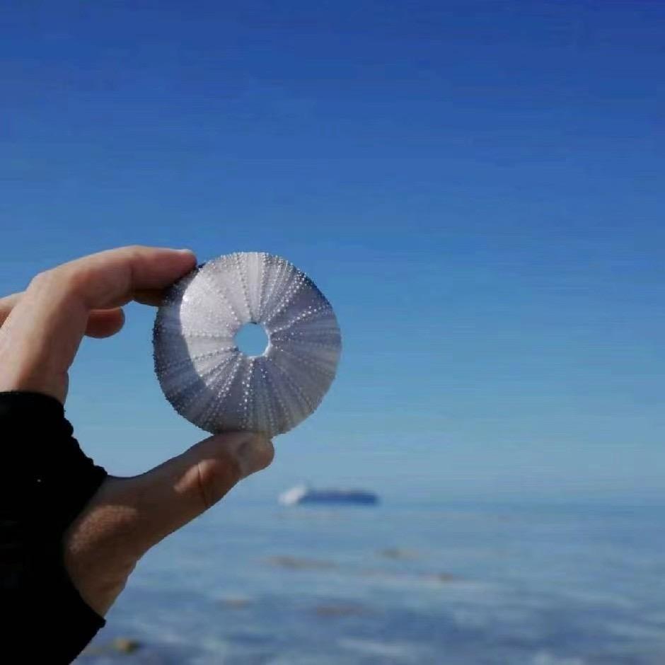 三亚乐途假期