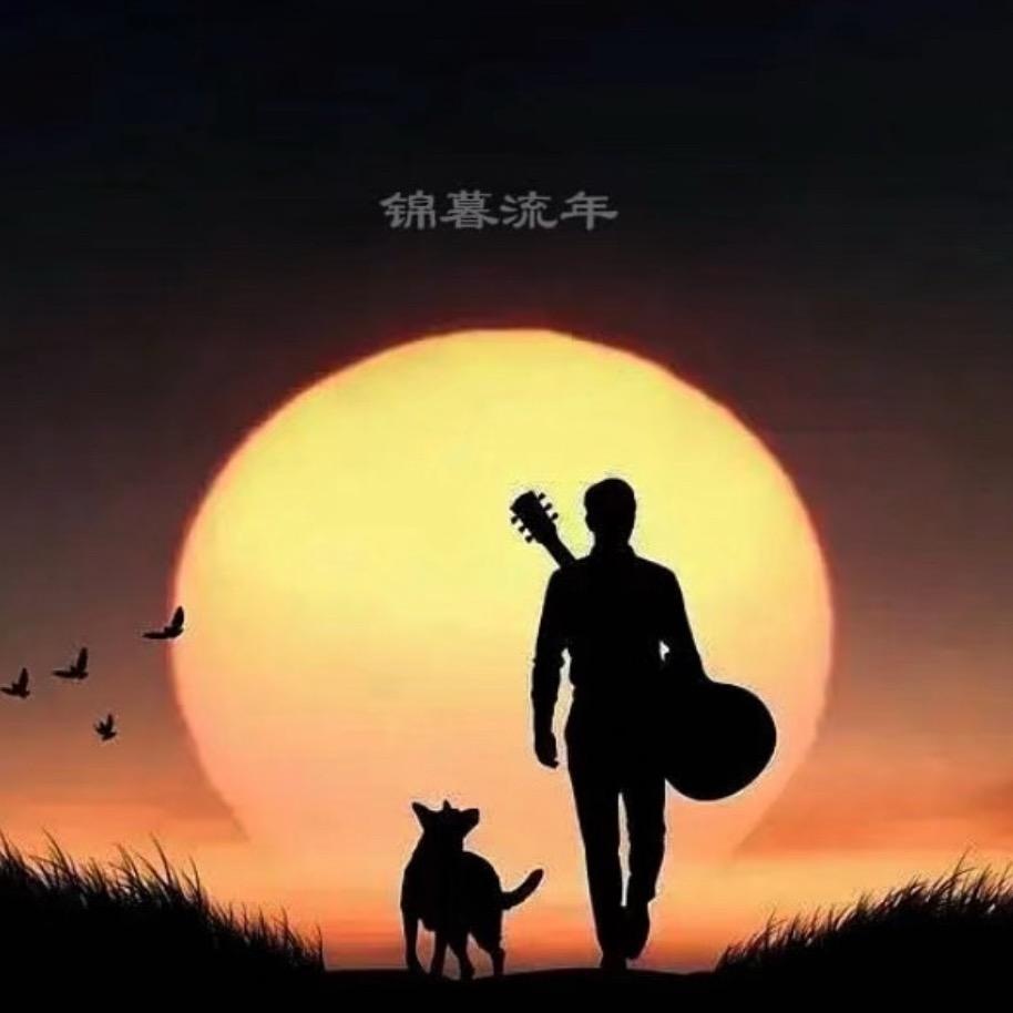 锦暮流年