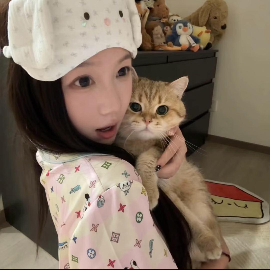 喵 十 七🐾
