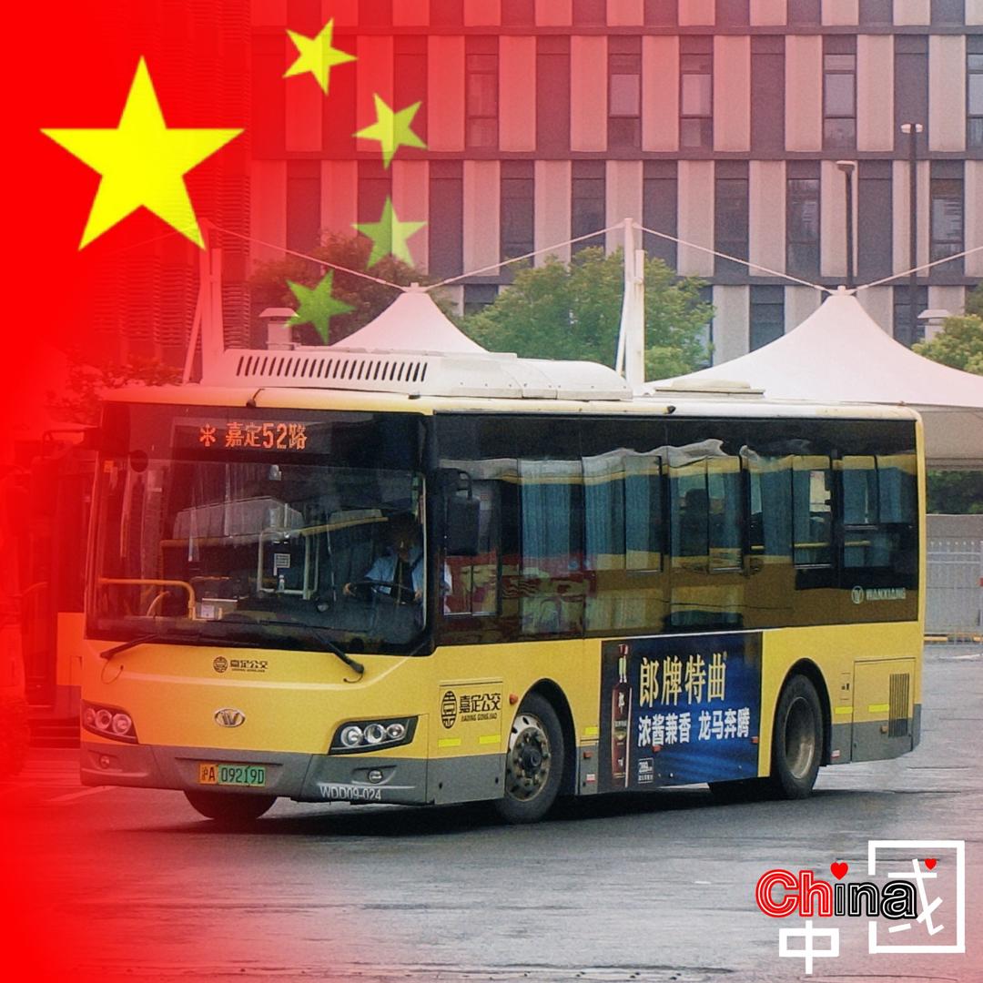 小红兔333