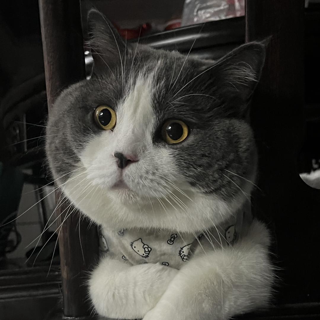良品铺姊