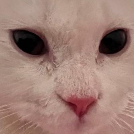 神秘人