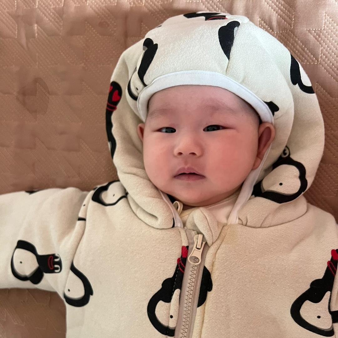 我不吃藕呀🍭