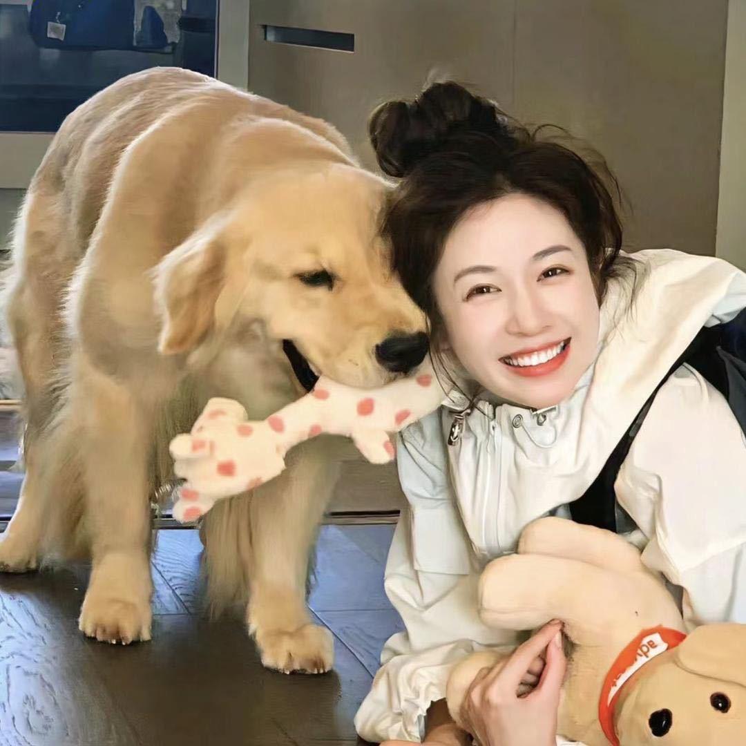 -红豆派