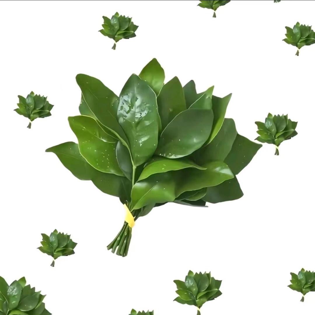 西红柿（来财版）