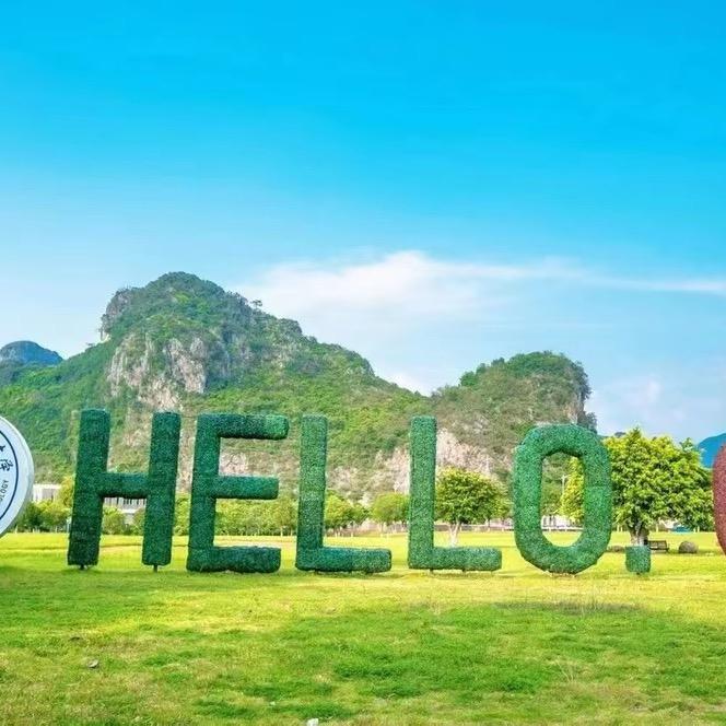 公办本科陈老师