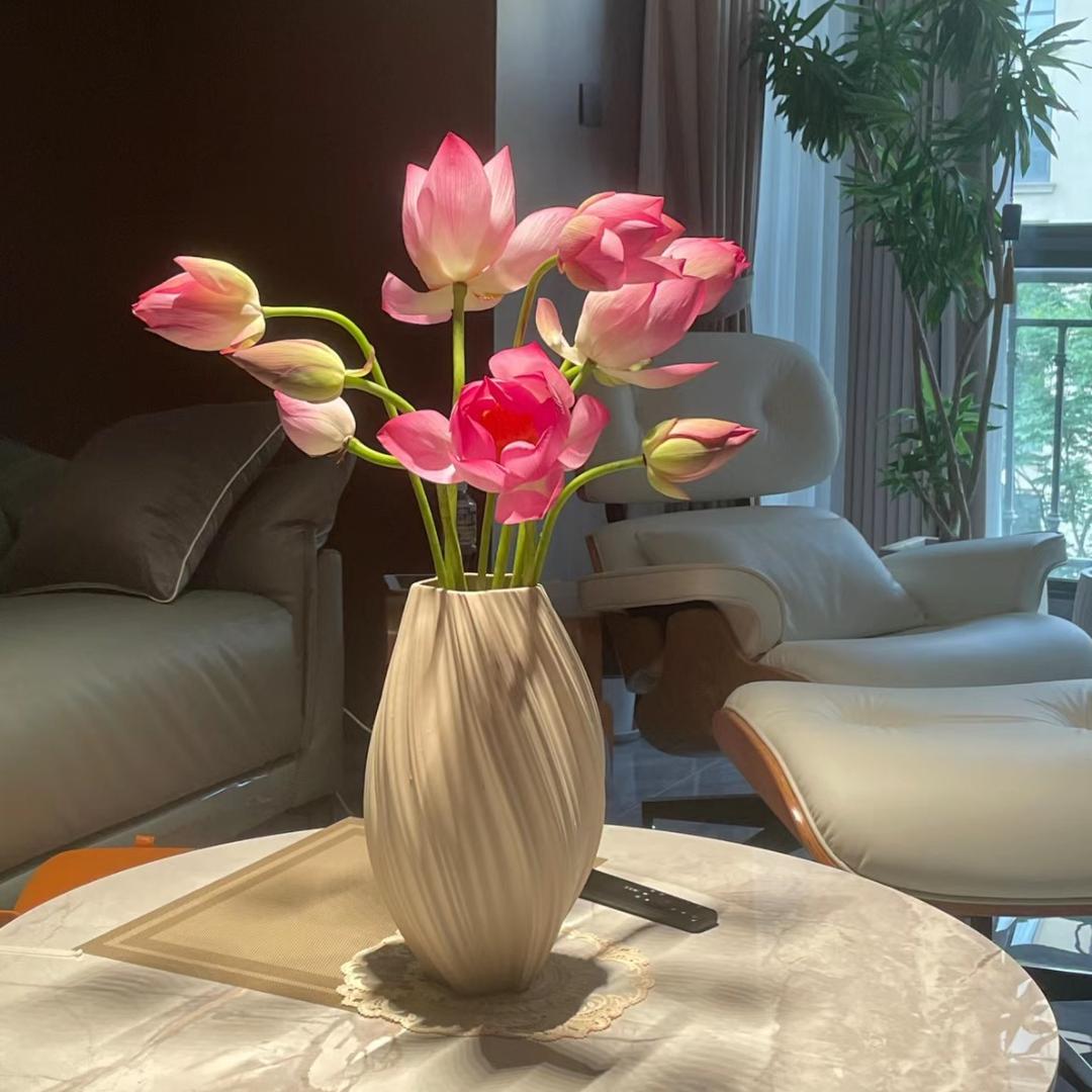 花云泽