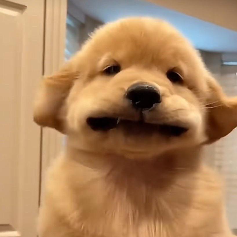 徐拾贰