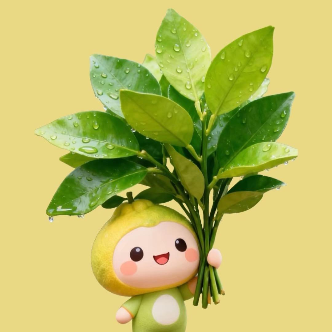 软质PVC聚氯颗粒