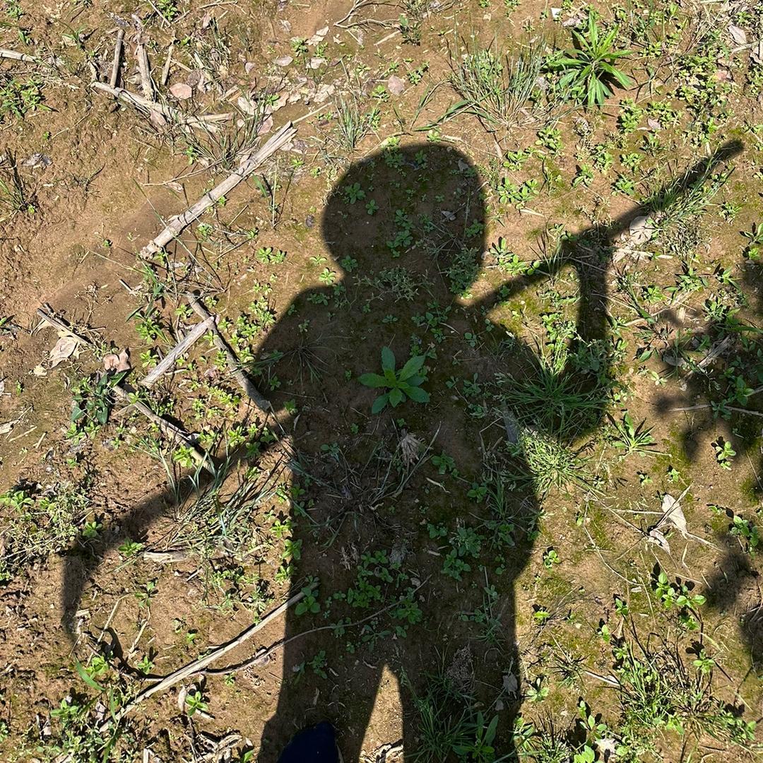 风季言(努力健身版)