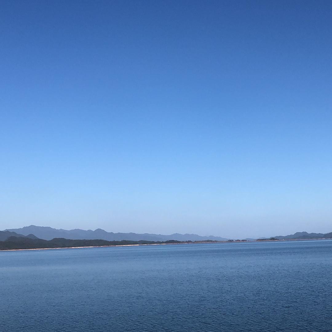 霸道龙主沈明玉头像