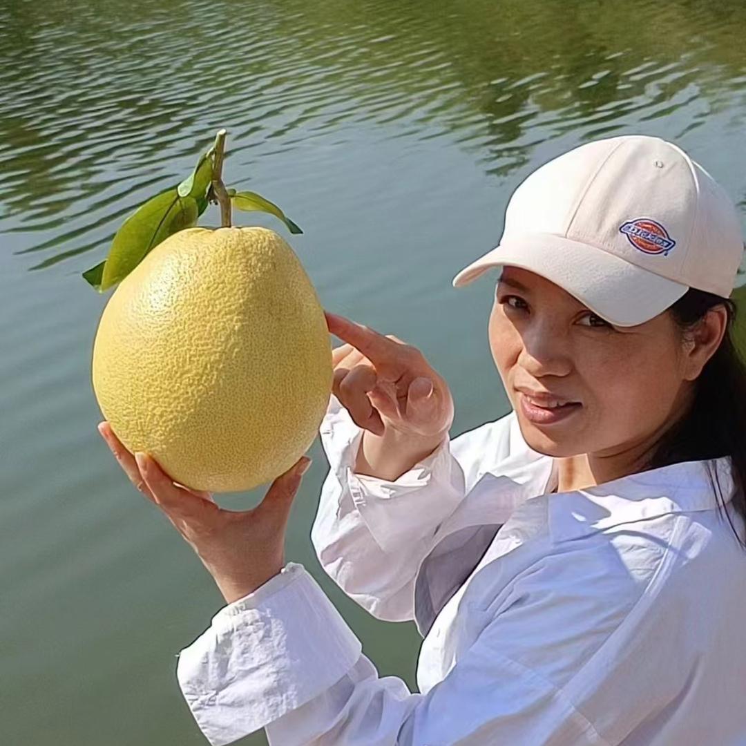 黎川县巧华蜂业部