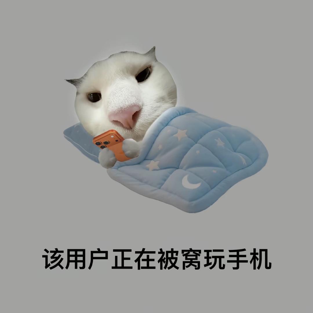奈德丽