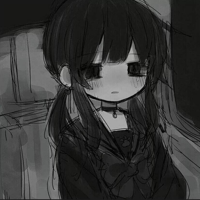 混的猫