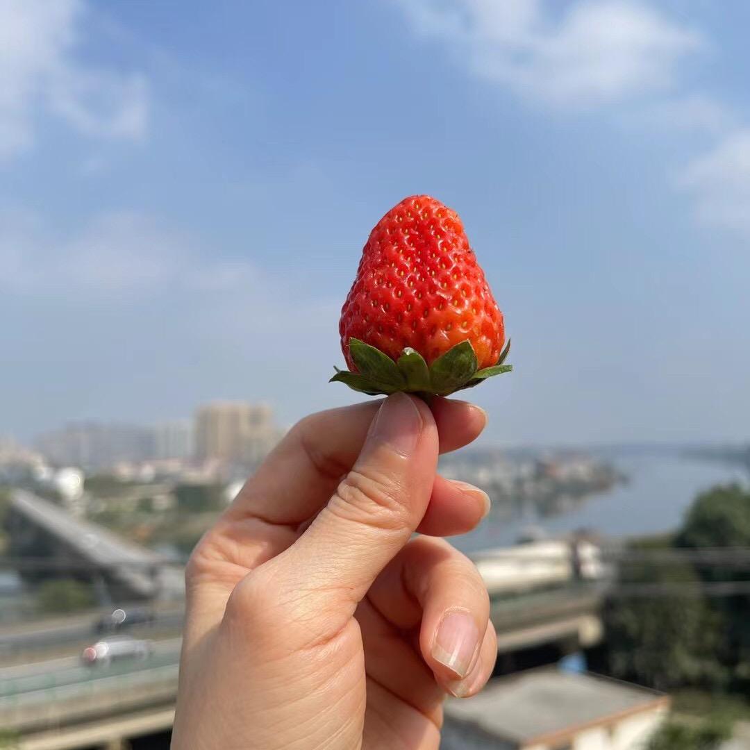 美丽笨女人