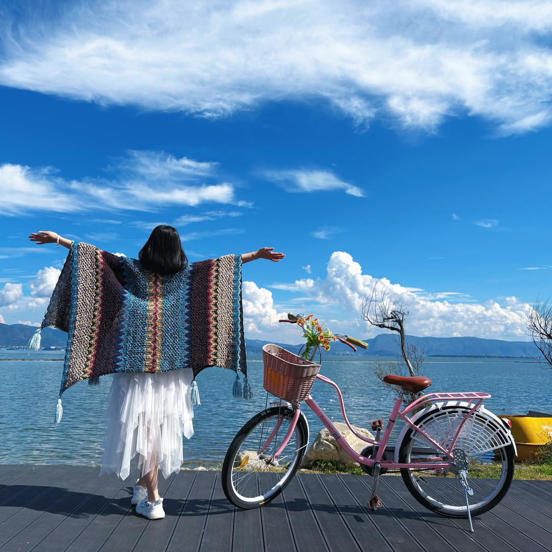 海燕啊